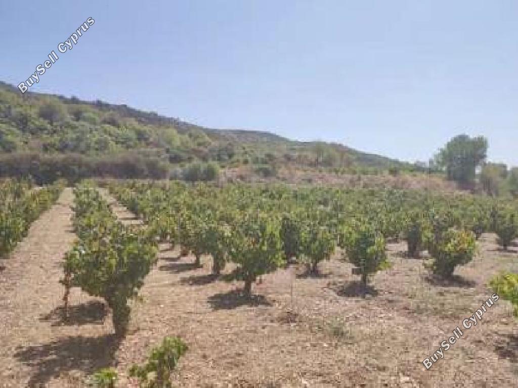 3949 SQM Land for sale in Omodos, Limassol 15440464
