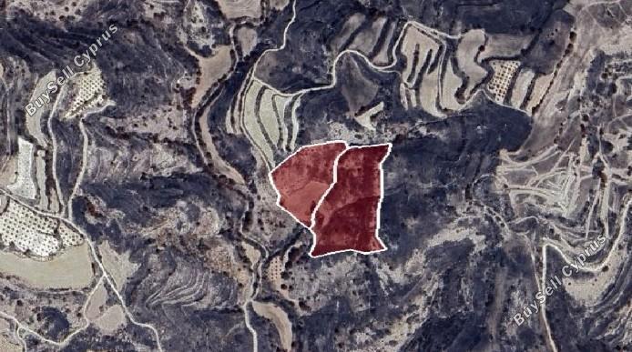 29098 SQM Land for sale in Polemi, Paphos 15620564