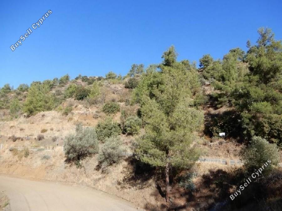 7024 SQM Land for sale in Kalo Chorio Lemesou, Limassol 15873626