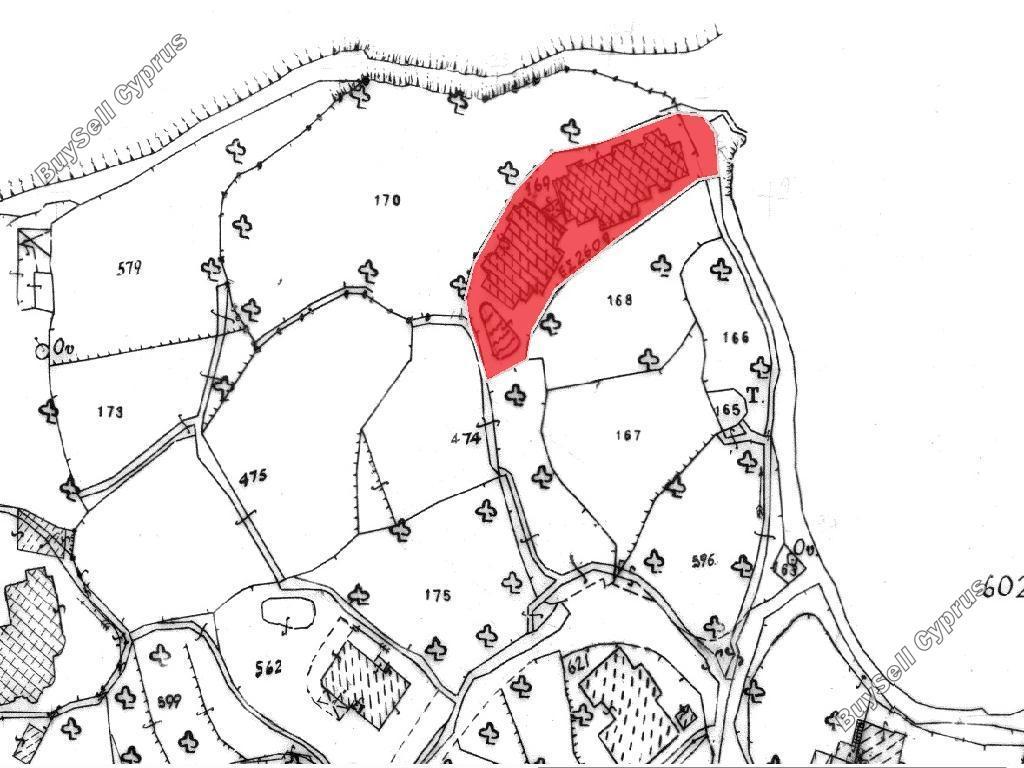2 bedroom apartment for sale tala paphos 8793514 image 16701436