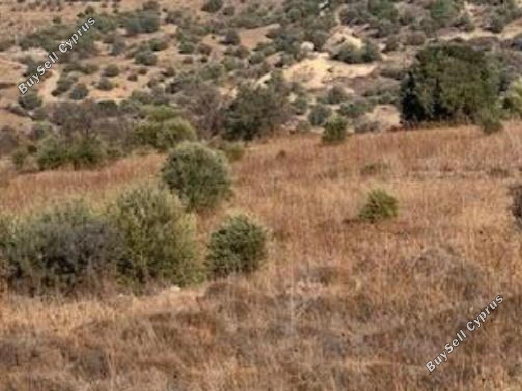 land for sale statos agios fotios paphos 8244514 image 15595874