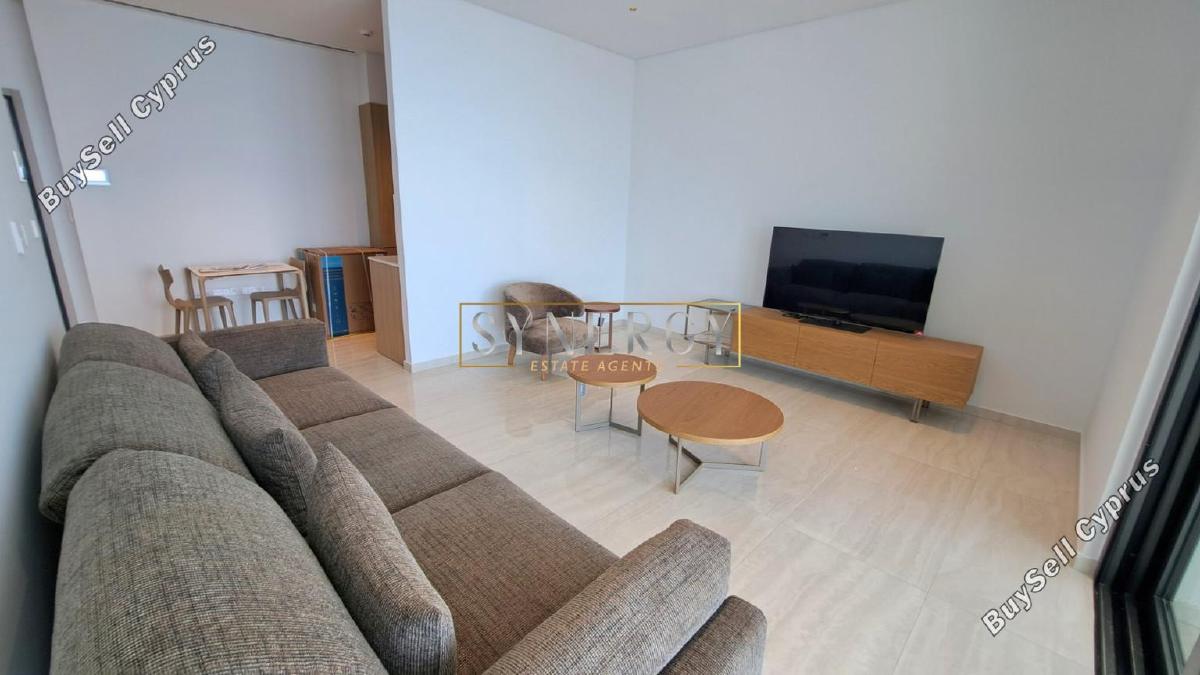 1 bedroom apartment for rent potamos germasogeias limassol 8670614 image 16339906