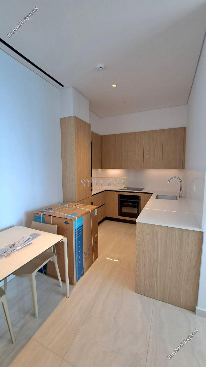 1 bedroom apartment for rent potamos germasogeias limassol 8670614 image 16339912