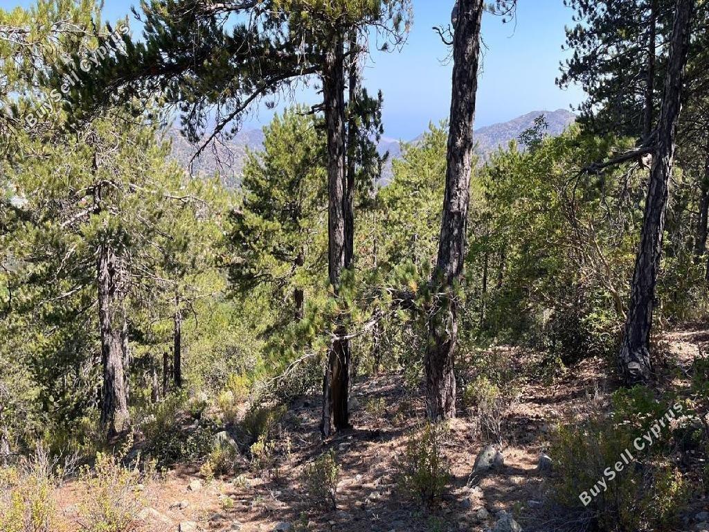 1668 SQM Land for sale in Pedoulas, Nicosia 13399946