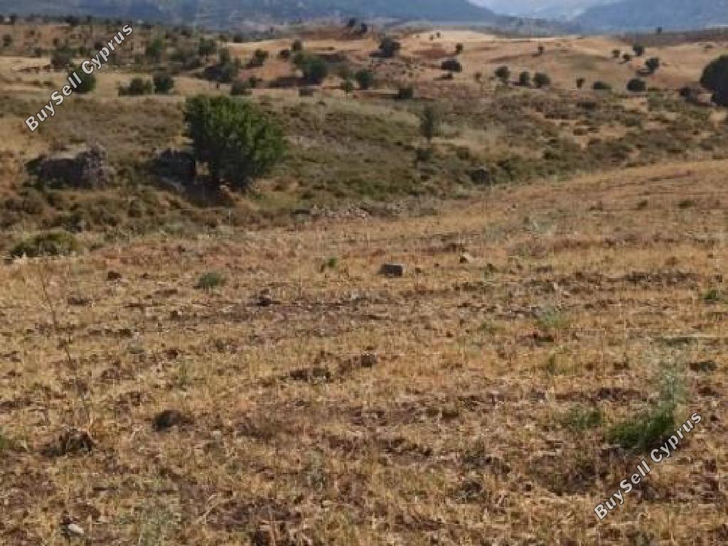 14382 SQM Land for sale in Kelokedara, Paphos 15596586