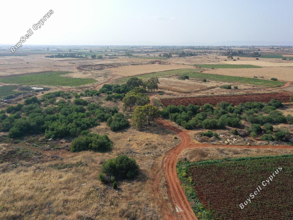land for sale liopetri famagusta 1077614 image 1261801