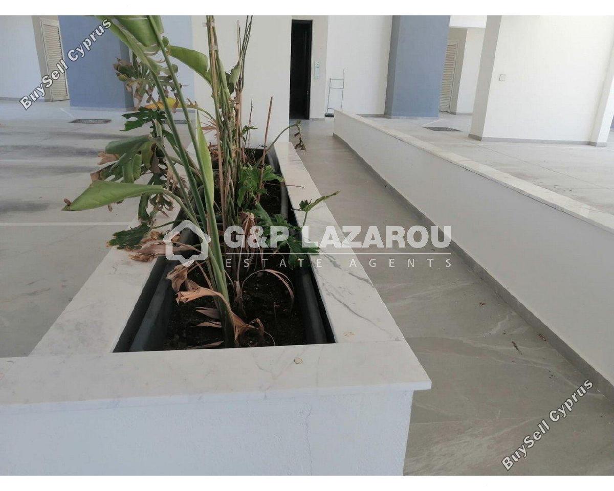 2 bedroom apartment for rent latsia nicosia 8771714 image 16578879