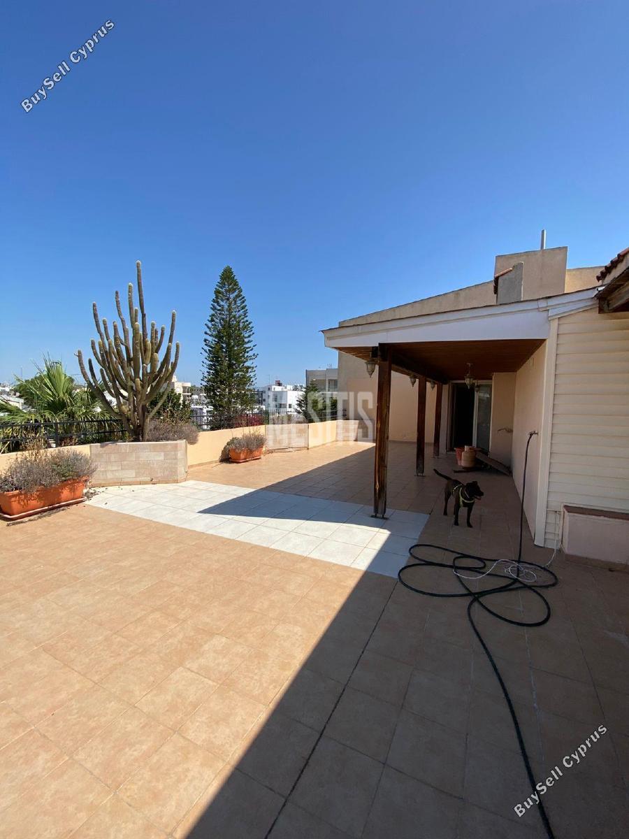 5 bedroom apartment for sale strovolos nicosia 1846714 image 10533025