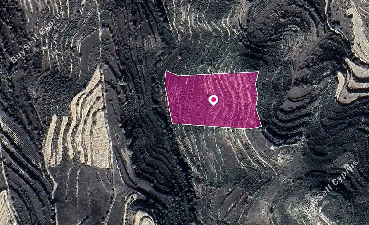 land for sale pachna limassol 1213714 image 14114046