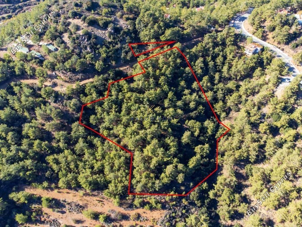 land for sale vavatsinia larnaca 1194714 image 5569561