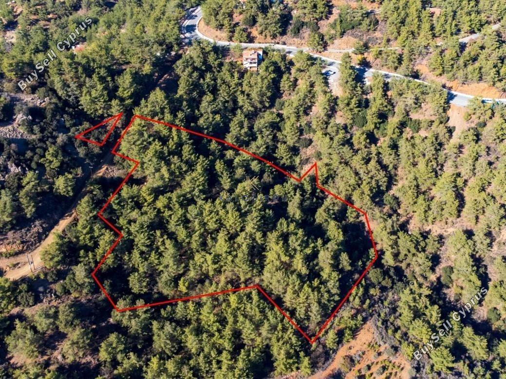 land for sale vavatsinia larnaca 1194714 image 5569565