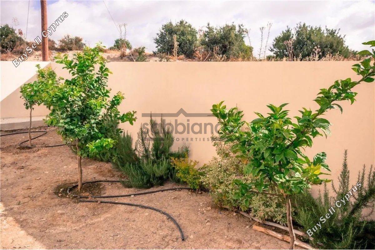 3 bedroom detached house for sale alaminos larnaca 8738814 image 16364703