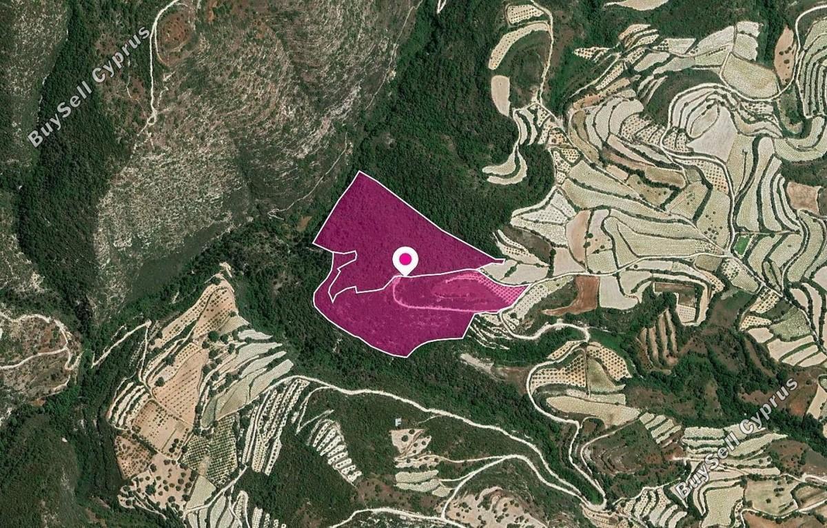 land for sale koili paphos 8629814 image 15869962