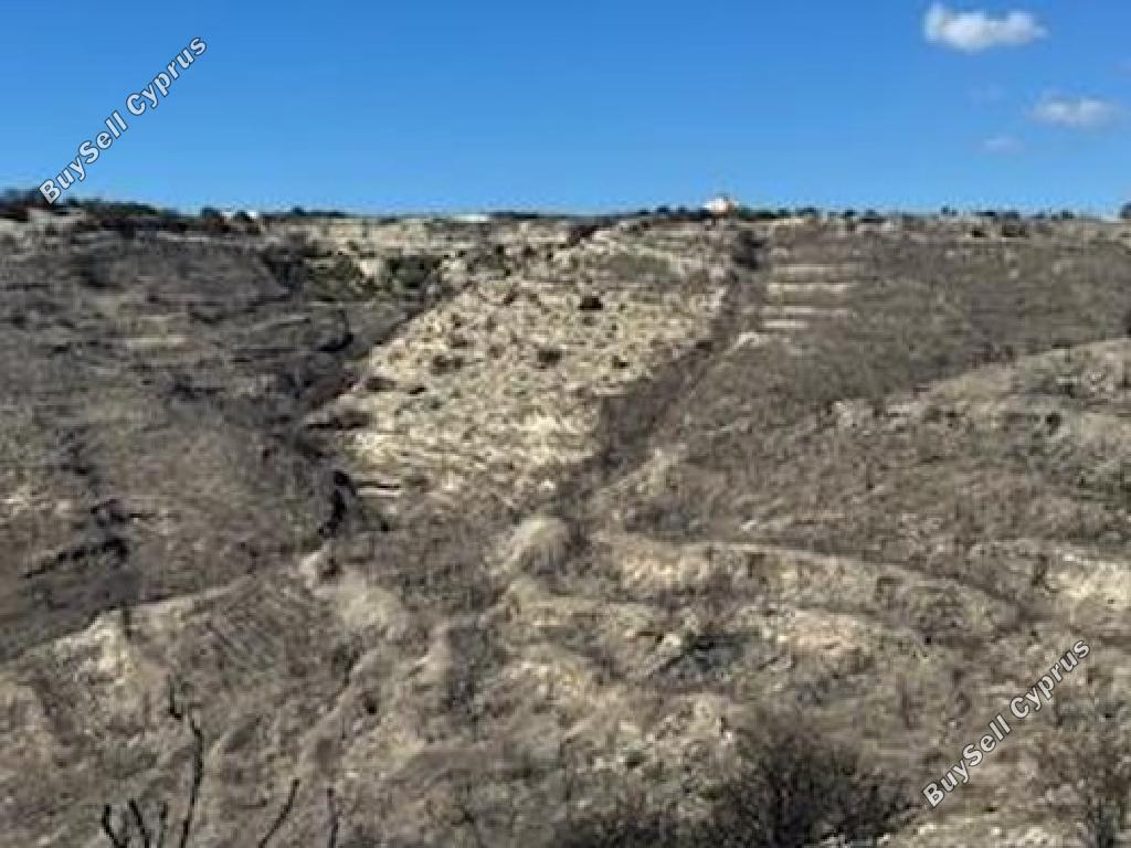 land for sale tsada paphos 1362814 image 17396952
