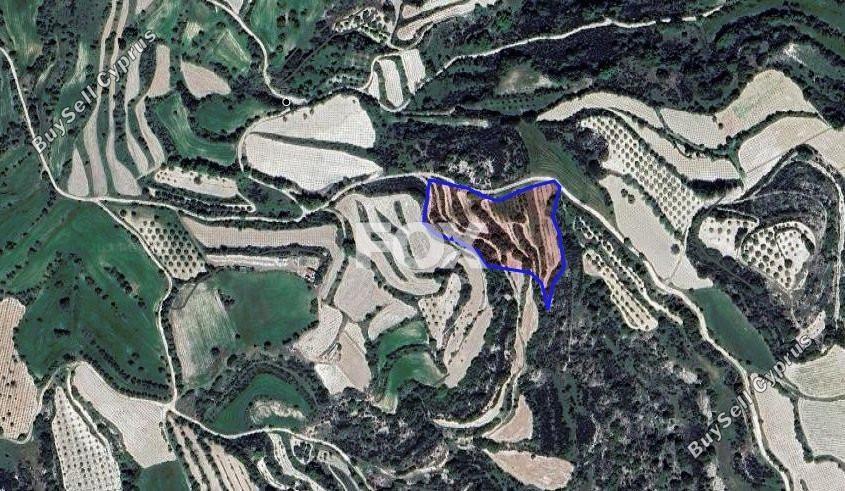land for sale polemi paphos 1367914 image 11089293