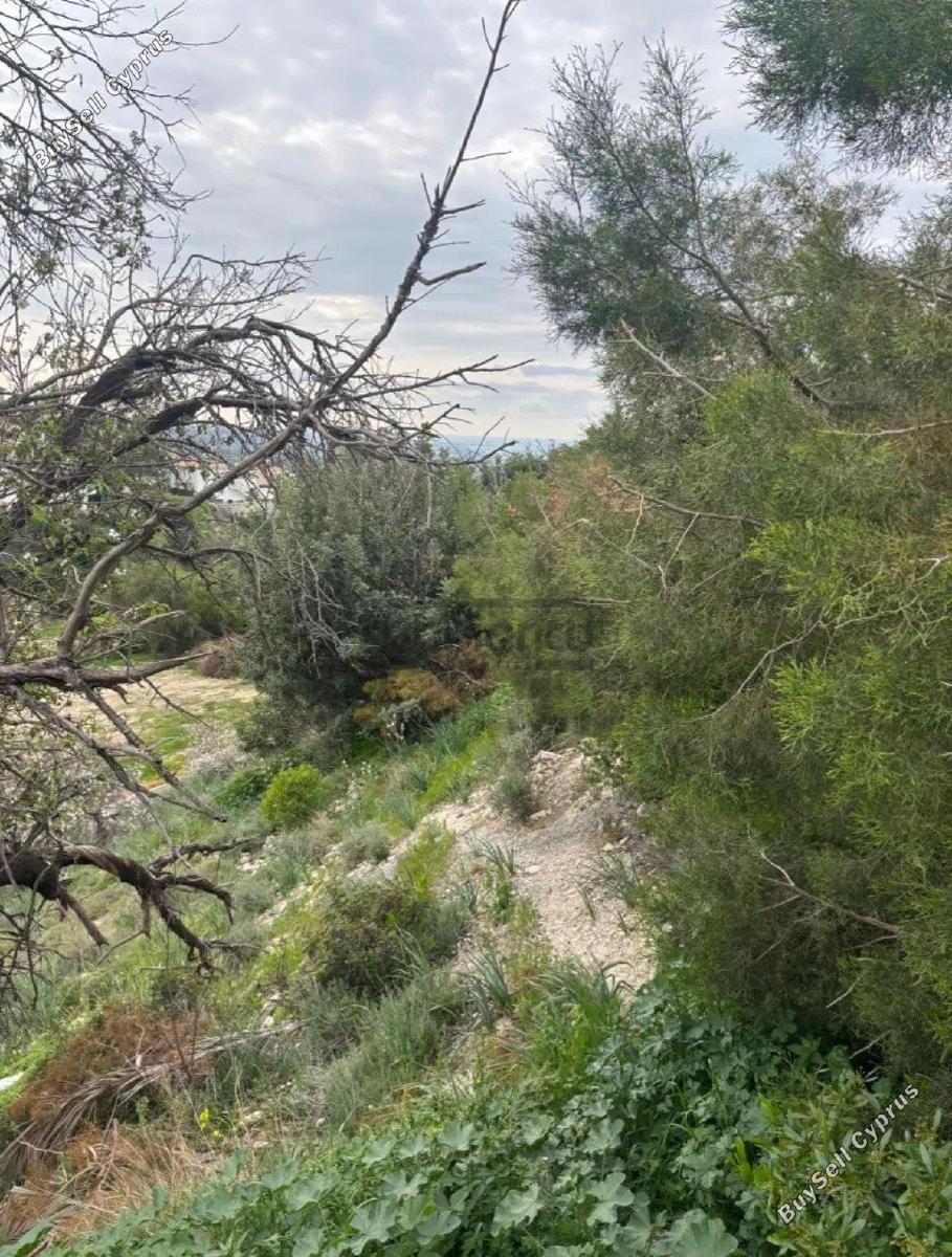 plot for sale peyia paphos 8749914 image 16480110