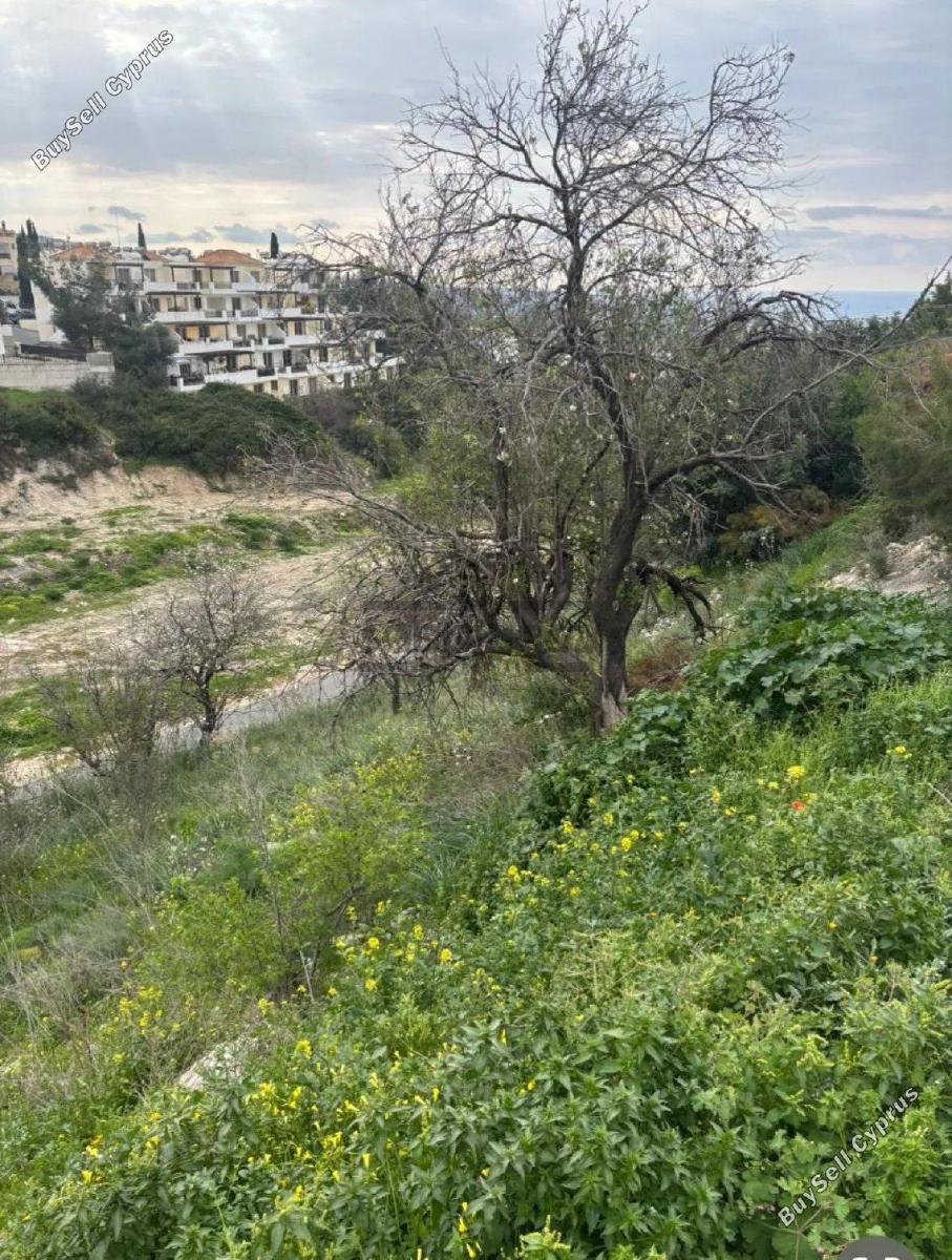 plot for sale peyia paphos 8749914 image 16480115