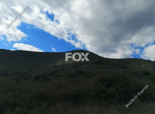 land for sale pachna limassol 8404024 image 14875725