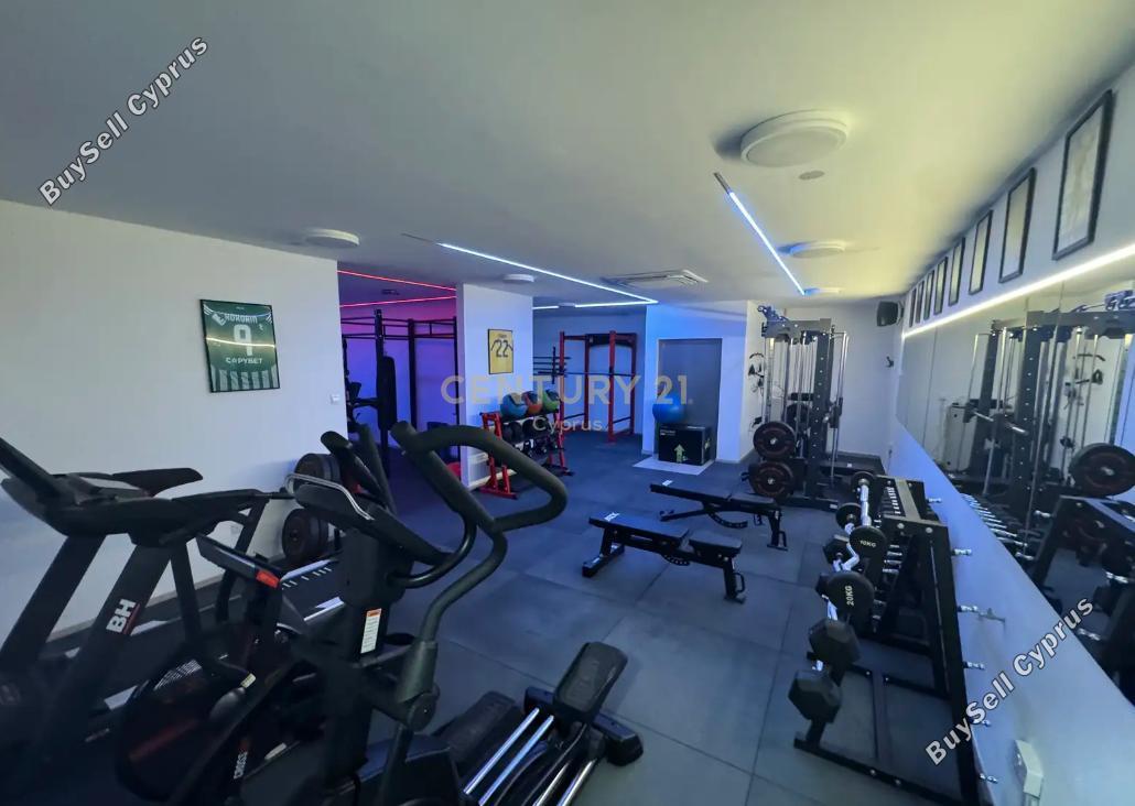 1 bedroom apartment for rent potamos germasogeias limassol 8468124 image 16335396