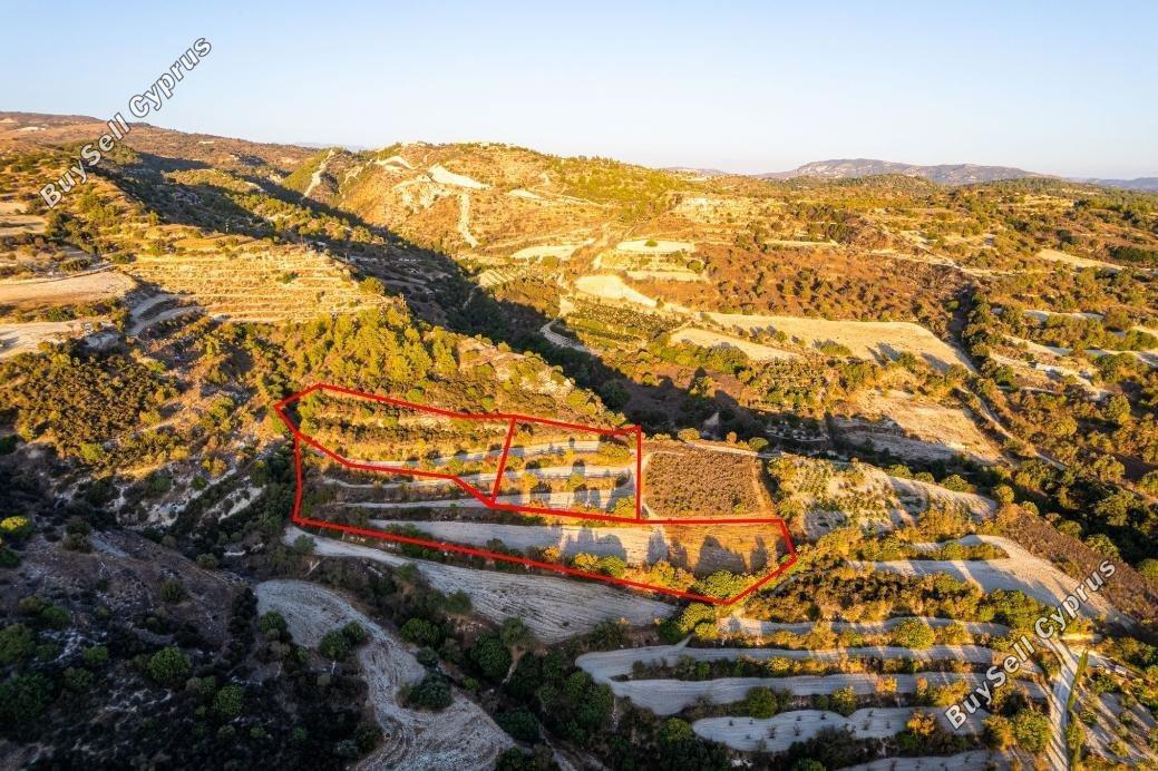 5352 SQM Land for sale in Amargeti, Paphos 14212243