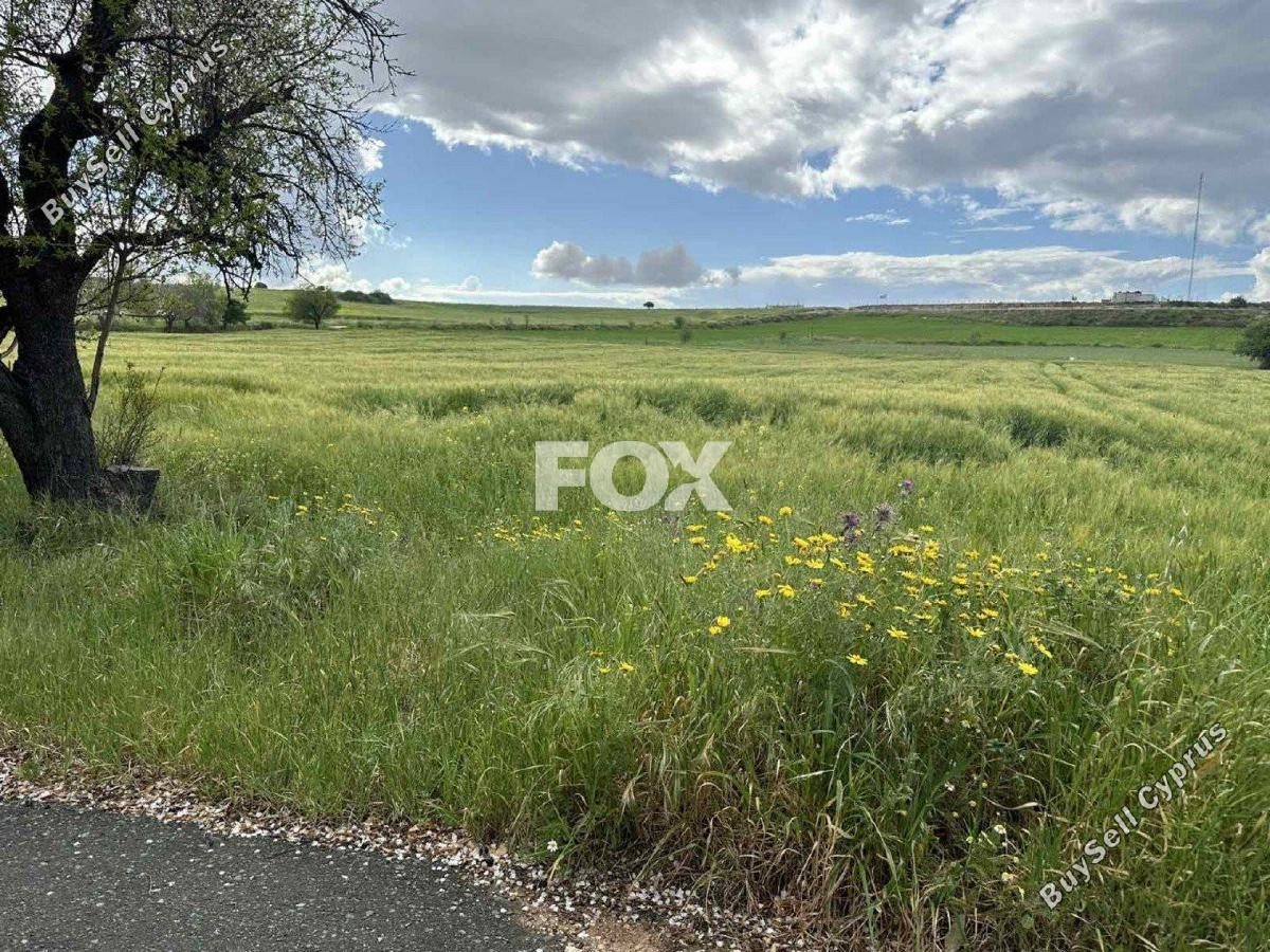 land for sale anarita paphos 1270124 image 15729987