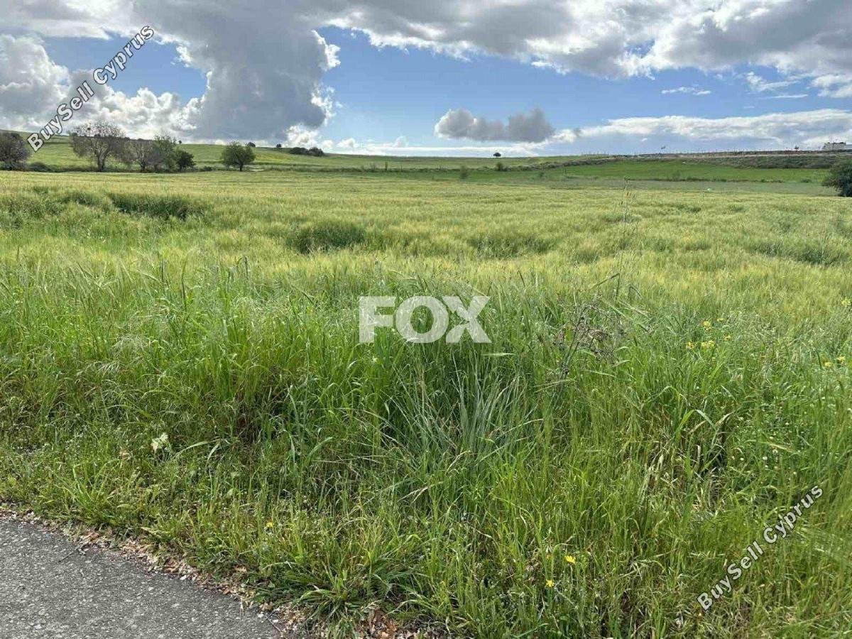 land for sale anarita paphos 1270124 image 15729991