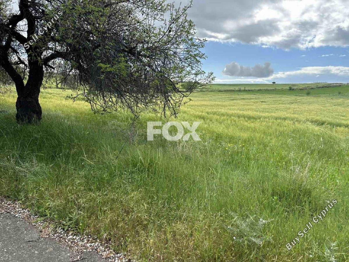 land for sale anarita paphos 1270124 image 15730003