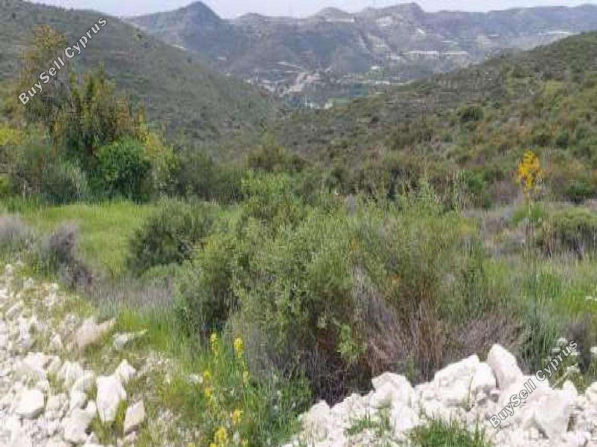 land for sale kalavasos larnaca 8884124 image 17292563