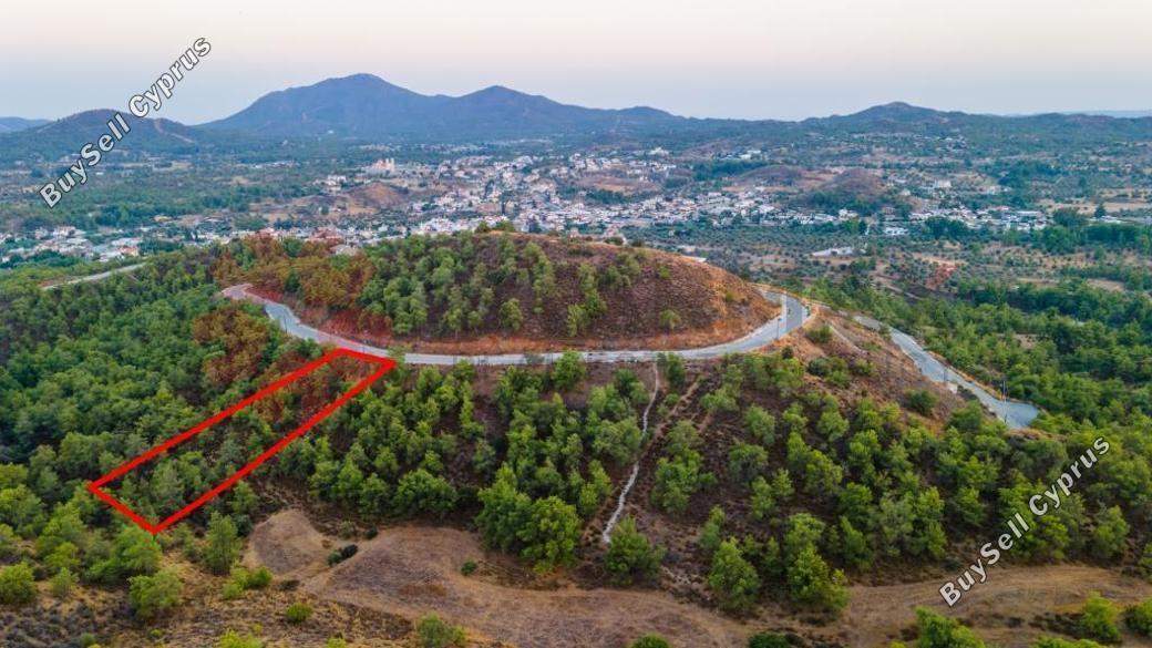 land for sale kornos larnaca 1827124 image 6408223