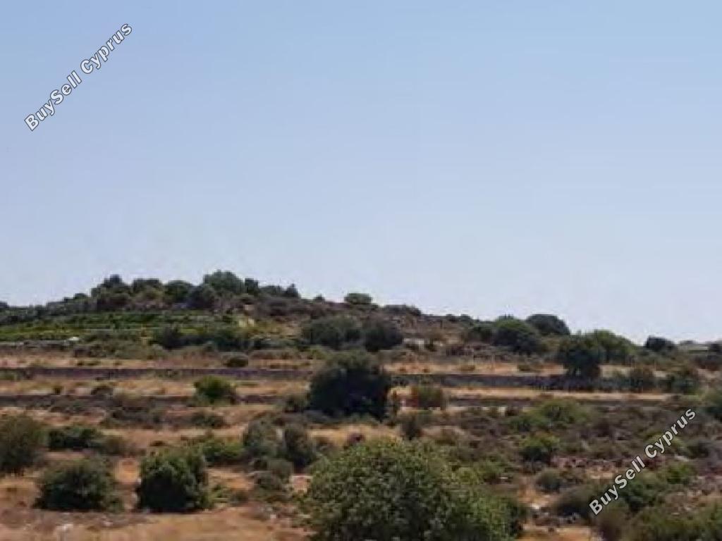 land for sale pachna limassol 1369124 image 15600238