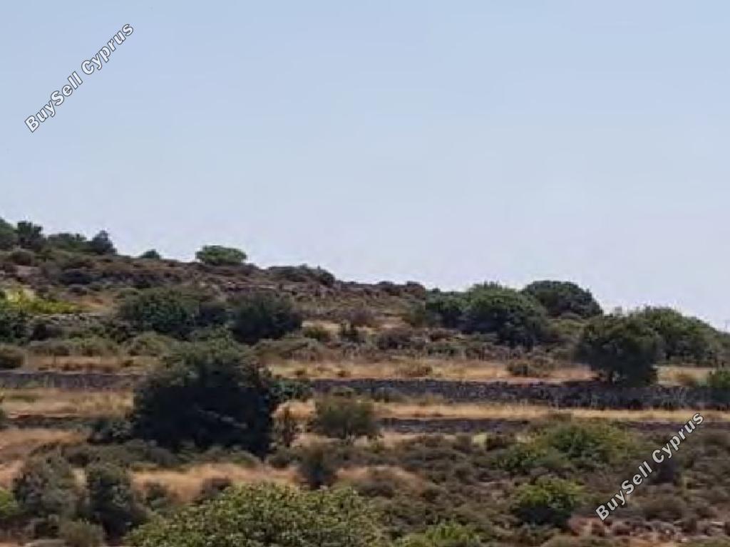 land for sale pachna limassol 1369124 image 15600239