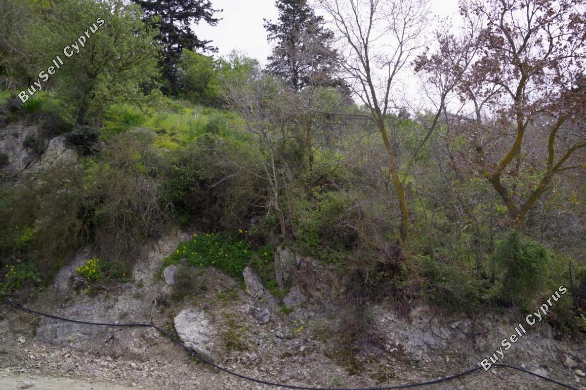 plot for sale tsada paphos 8442124 image 15062781