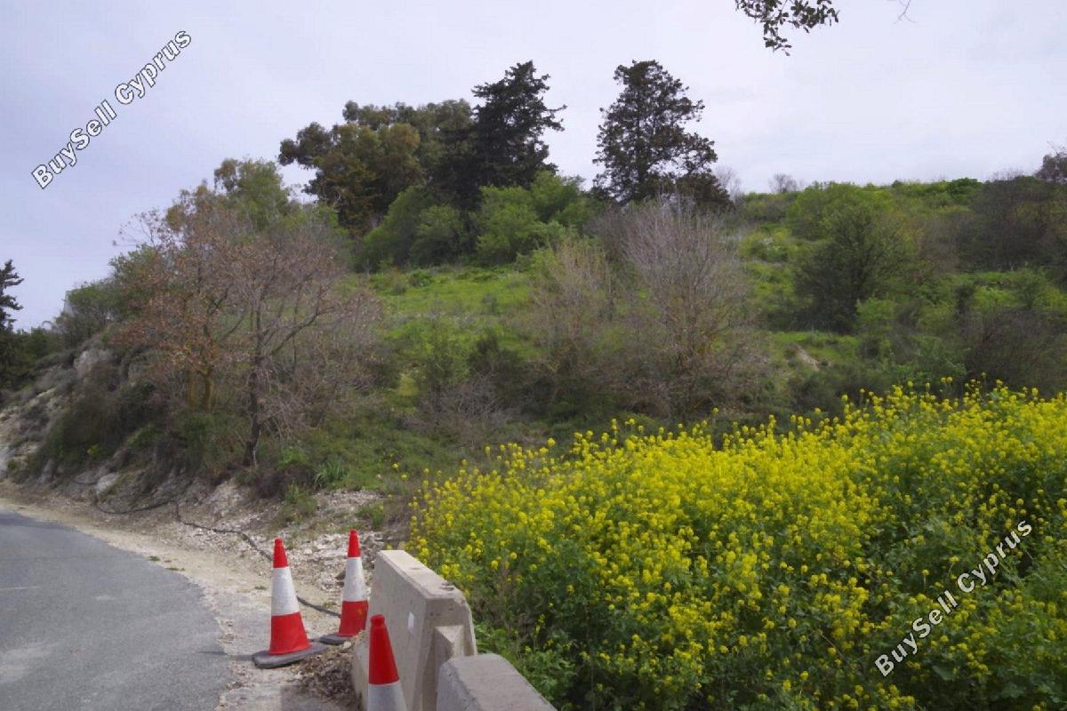 plot for sale tsada paphos 8442124 image 15062782