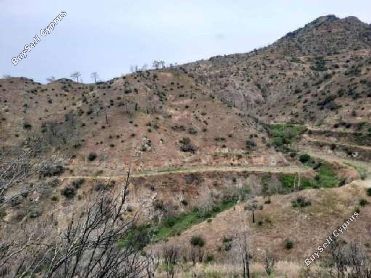 7024 SQM Land for sale in Odou, Larnaca 16295209