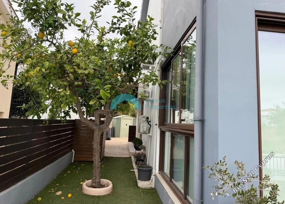 3 bedroom detached house for rent lofos tala paphos 8804224 image 16778035