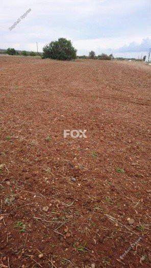 land for sale agios theodoros larnacas larnaca 1146224 image 13965855