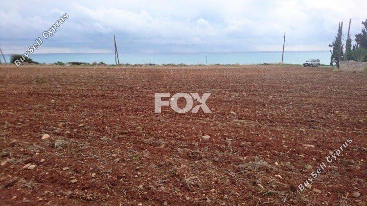 land for sale agios theodoros larnacas larnaca 1146224 image 13965856