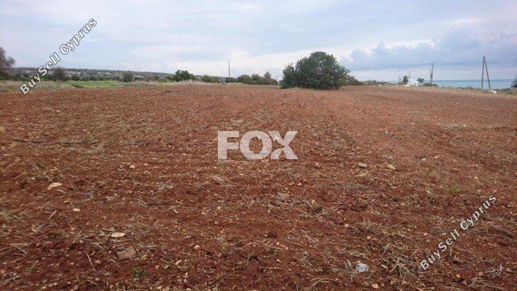 land for sale agios theodoros larnacas larnaca 1146224 image 13965857