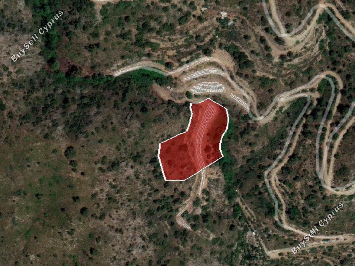 land for sale odou larnaca 8716224 image 16295208