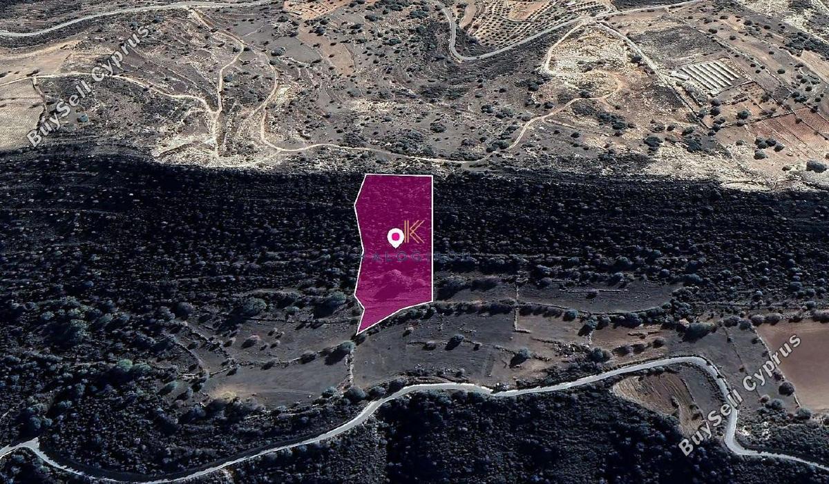 land for sale pachna limassol 1650224 image 5666947