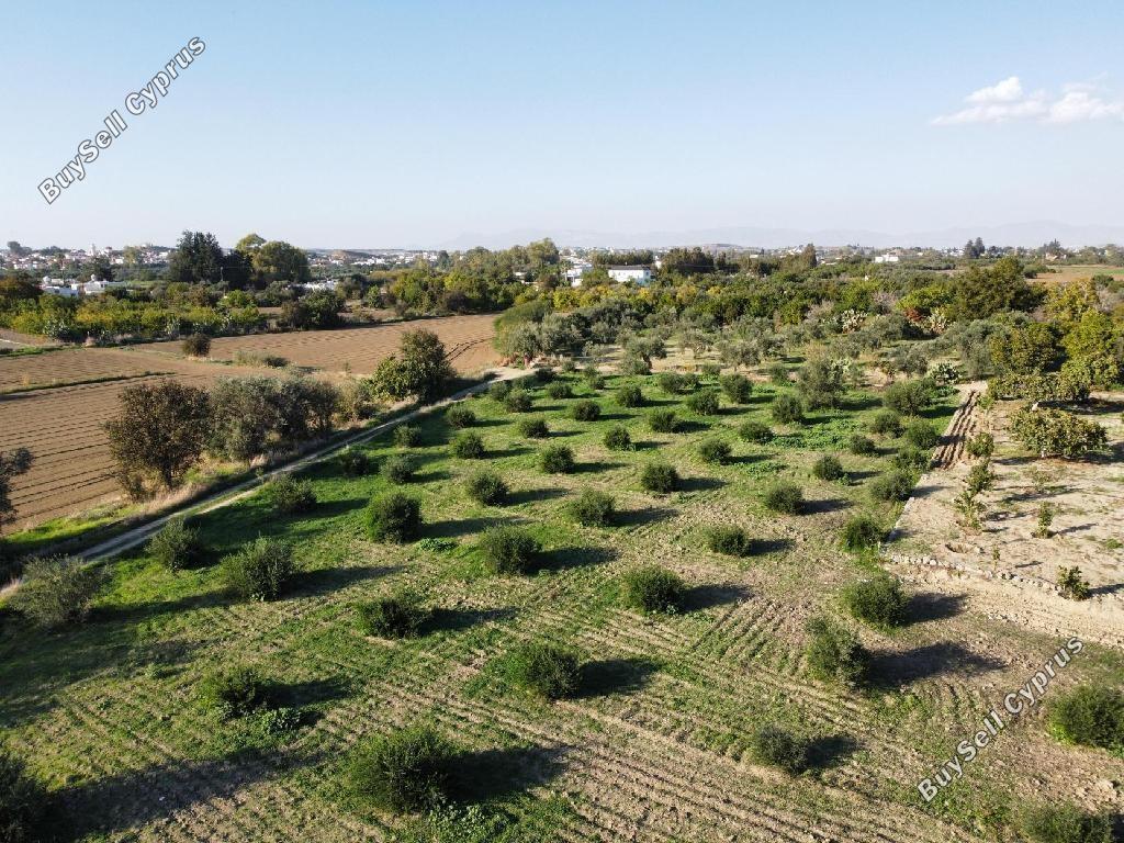 land for sale pera orinis nicosia 8630224 image 16718263