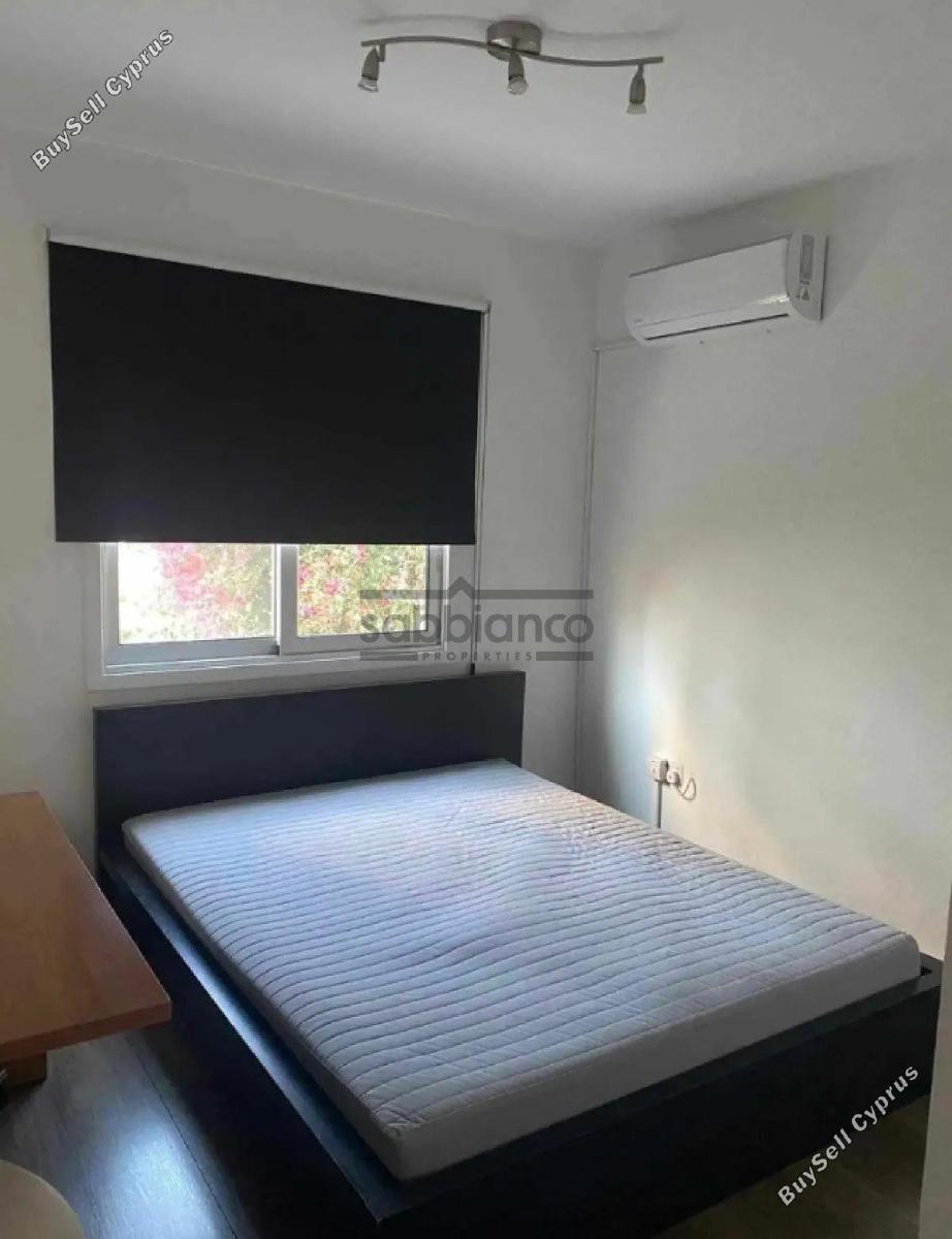 3 bedroom apartment for rent acropolis nicosia 8749424 image 16475688