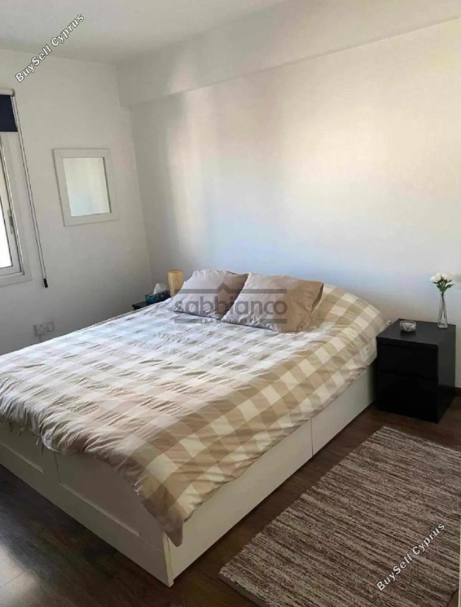 3 bedroom apartment for rent acropolis nicosia 8749424 image 16475695