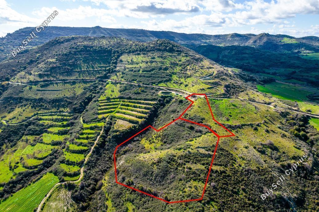 land for sale dora limassol 993424 image 15868805
