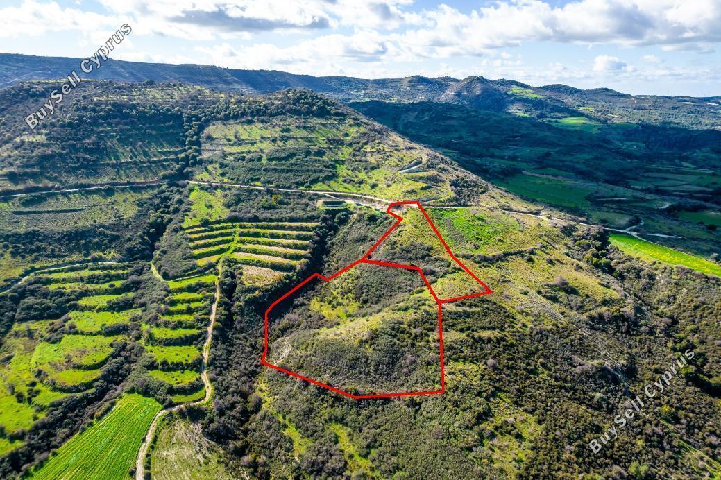 land for sale dora limassol 993424 image 15868809