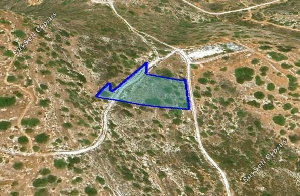 land for sale foinikaria limassol 1547424 image 5885381