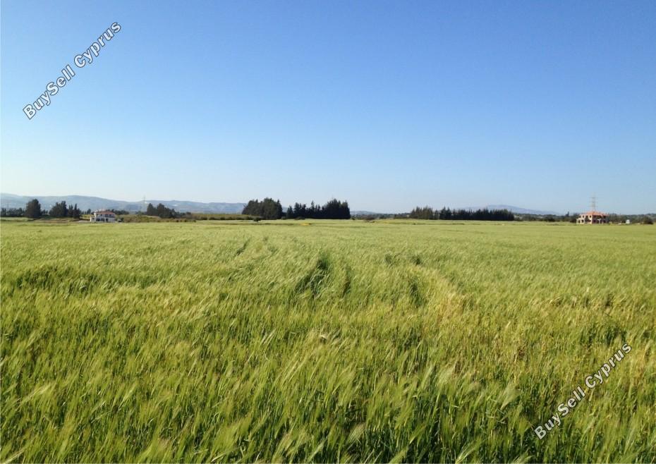 land for sale kouklia pafou paphos 7756424 image 10325337