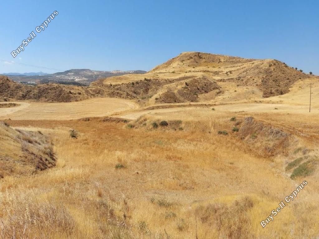 land for sale orounta nicosia 947424 image 15602170