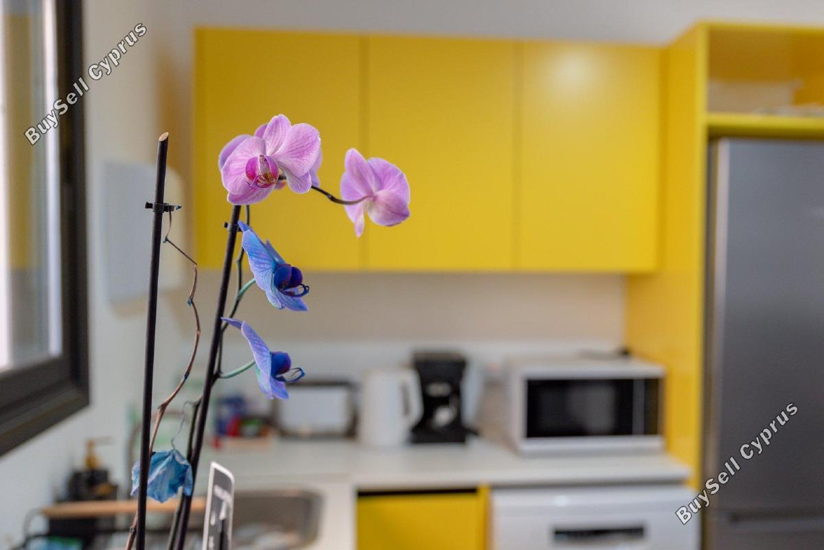 studio office for sale agia zoni limassol 8758424 image 16517934