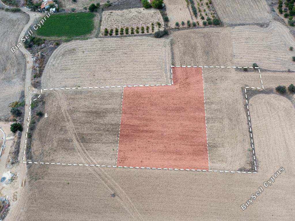 land for sale dali nicosia 853524 image 16041250